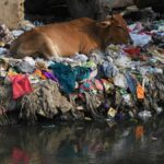 India world champion in plastic pollution study finds