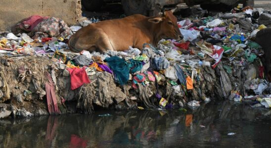 India world champion in plastic pollution study finds