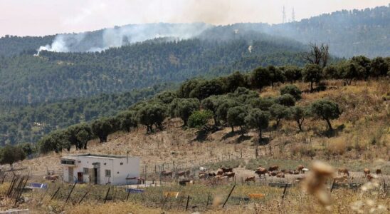 Israelis call for army operation on Lebanon border