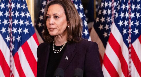 Kamala Harris targeted by Russian disinformation – LExpress