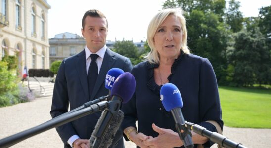 Marine Le Pen calls for a referendum on priority issues