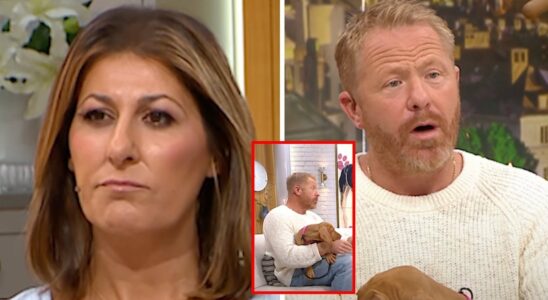 Outcry after dog coach Fredrik Steens words in Nyhetsmorgon