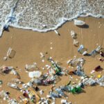 Satellites and algorithms searching for plastic in the Mediterranean