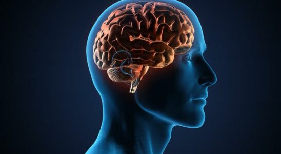 Scientists discovered Research revealed Mens brain shrinks at a certain