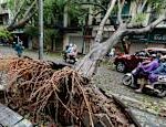 Typhoon floods and landslides claimed several lives in Vietnam