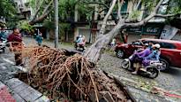 Typhoon floods and landslides claimed several lives in Vietnam