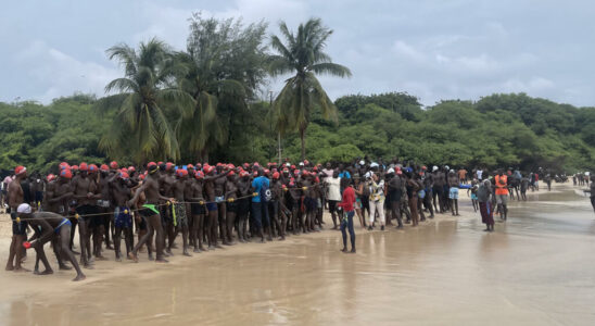 with the Dakar Goree crossing swimmers motivated above all by the