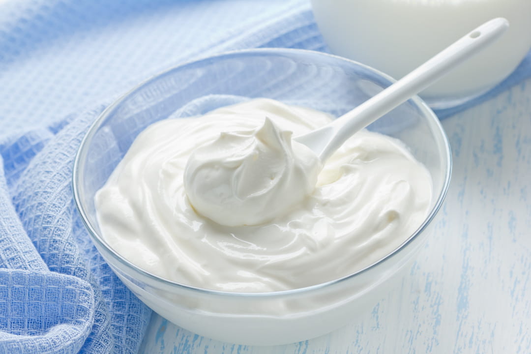 1728993888 1 Cottage cheese or yogurt Dietitians reveal which one to choose