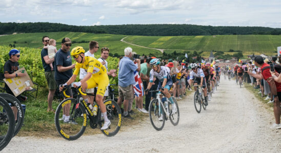 A 2025 Tour de France exclusively in France