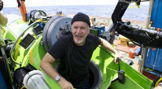 A director got along so badly with James Cameron that