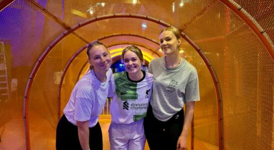 Adults take over indoor playground for an evening As if