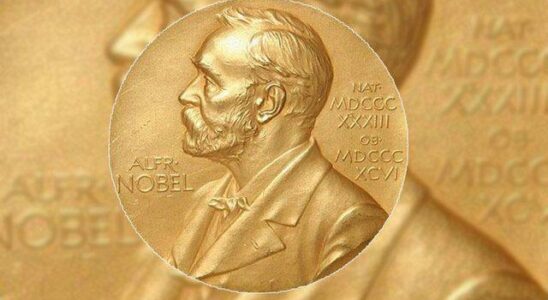 Americans Victor Ambros and Gary Ruvkun won the 2024 Nobel