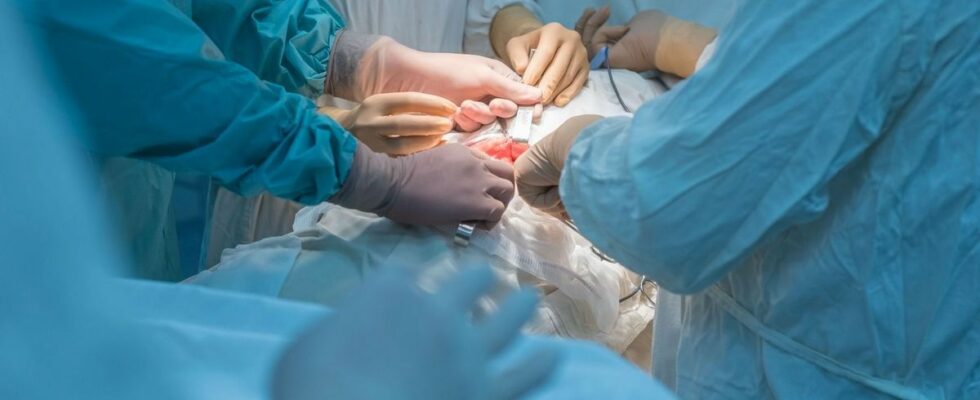 An American wakes up while his organs are being harvested