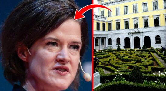 Anna Kinberg Batra leaves the palace speaks out on