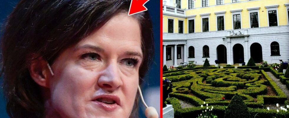 Anna Kinberg Batra leaves the palace speaks out on