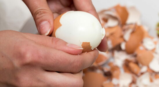 Are eggs bad for our cholesterol levels To find out