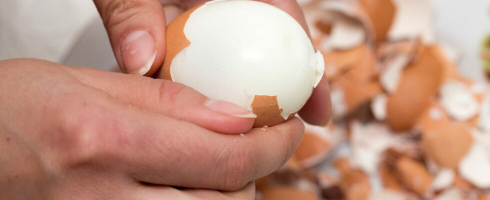 Are eggs bad for our cholesterol levels To find out