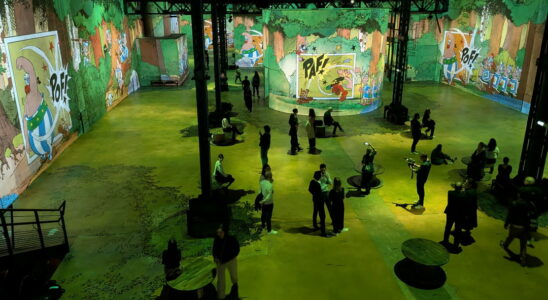 Asterix the immersive journey at the Atelier des Lumieres in