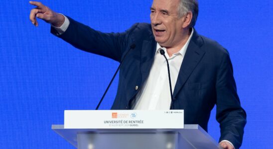 Bayrous sting against certain overly critical former Macronist ministers –