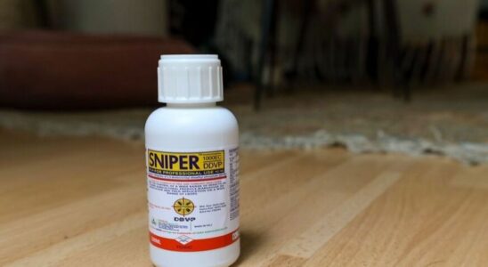 Bedbugs be careful the SNIPER insecticide dangerous for humans resurfaces