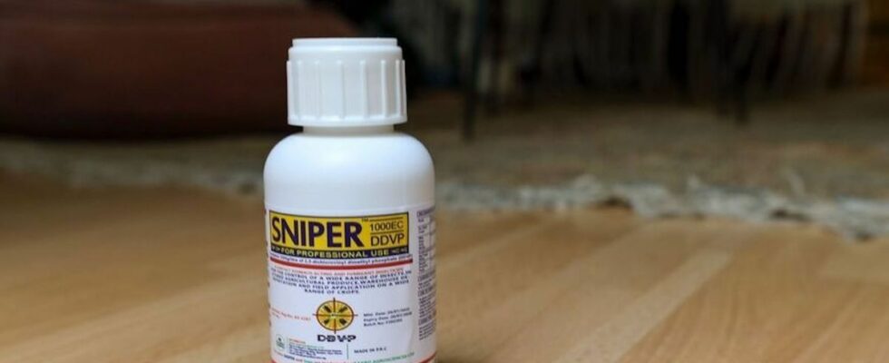 Bedbugs be careful the SNIPER insecticide dangerous for humans resurfaces