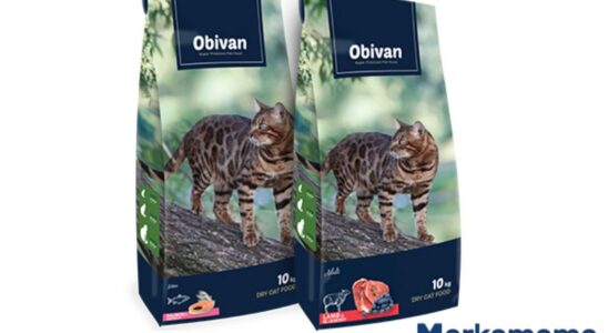 Cat Food Selection and Recommendations for Healthy Nutrition