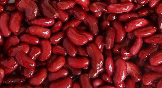 Consumer alert recall of red beans due to pesticide residues