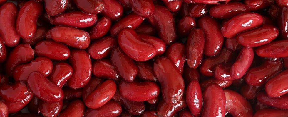 Consumer alert recall of red beans due to pesticide residues