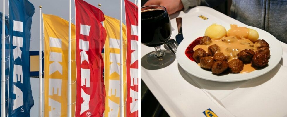 Customers rave about Ikeas meatballs Had to go hungry