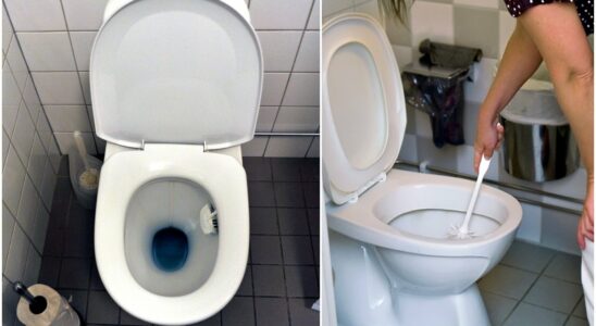 Disgusting stains in the toilet That way you can quickly