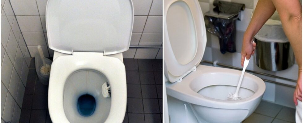 Disgusting stains in the toilet That way you can quickly