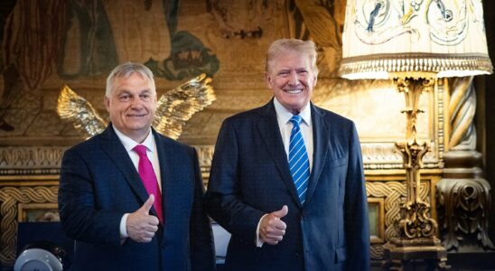 Donald Trump and Viktor Orban the secret networks that unite