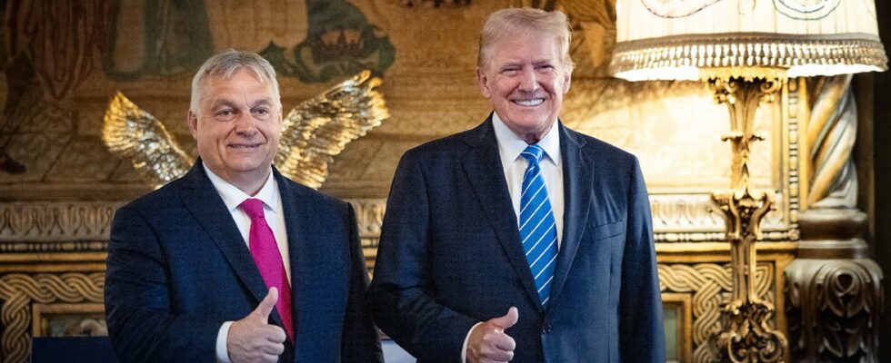 Donald Trump and Viktor Orban the secret networks that unite