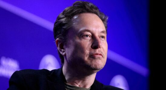 Elon Musk will live with his 11 children and their