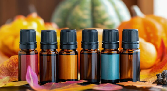 Energizing these essential oils are the best against fatigue