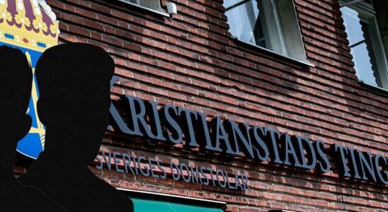 Gang men in Kristianstad raped a woman sentenced to