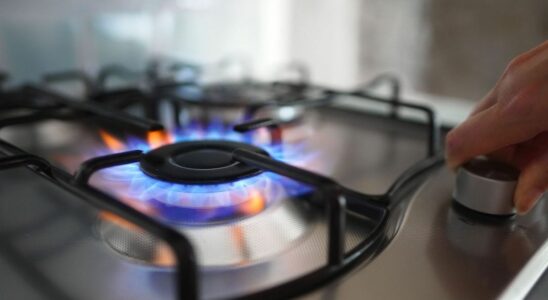 Gas stoves kill 40000 Europeans every year report warns