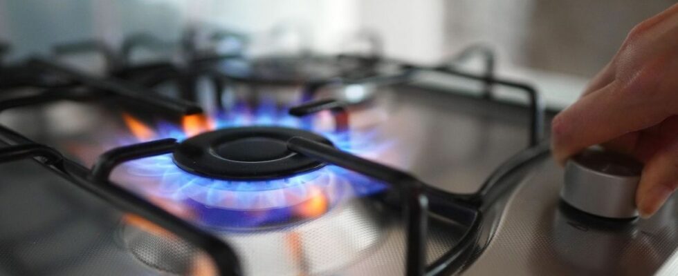 Gas stoves kill 40000 Europeans every year report warns