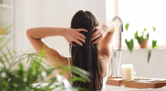 Hair beauty how to carry out a hair detox