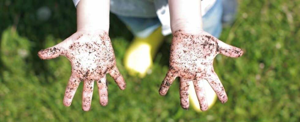 Here are the hidden benefits of dirty play for your