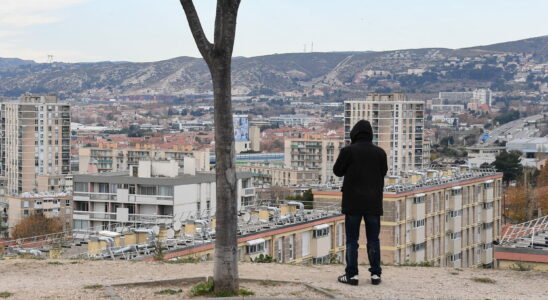 Hitman in Marseille the DZ Mafia denies any involvement and