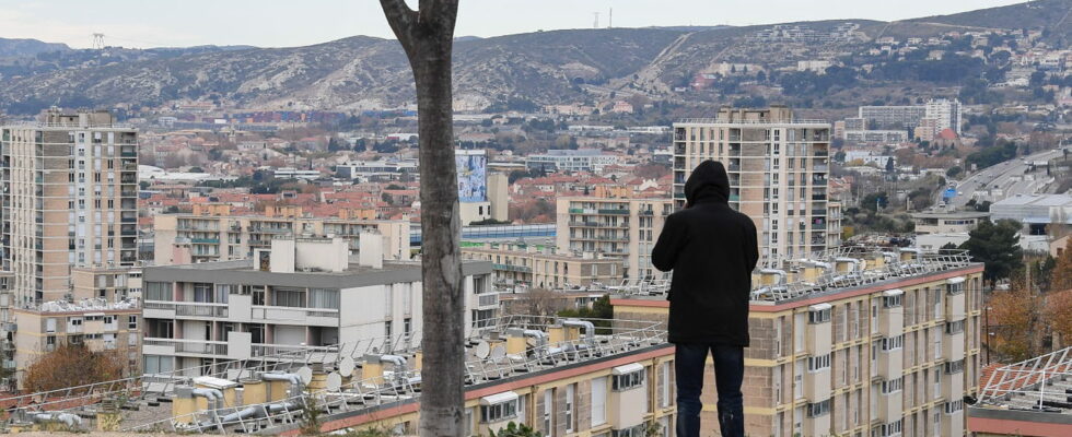 Hitman in Marseille the DZ Mafia denies any involvement and