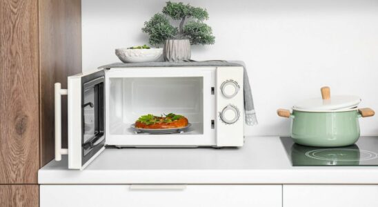 How to prepare healthy meals with your microwave Advice from