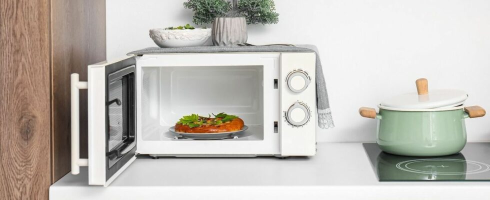 How to prepare healthy meals with your microwave Advice from