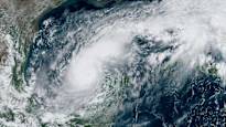 Hurricane Milton approaching Florida has intensified News in brief