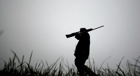 In Brittany the endless damage from the proliferation of wild