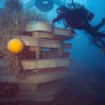 In Marseille underwater life partially returns to artificial reefs