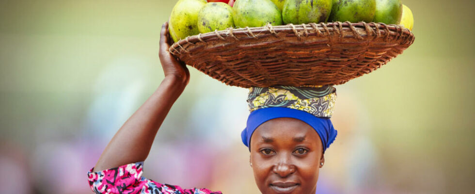 In the Central African Republic an association stimulates the empowerment