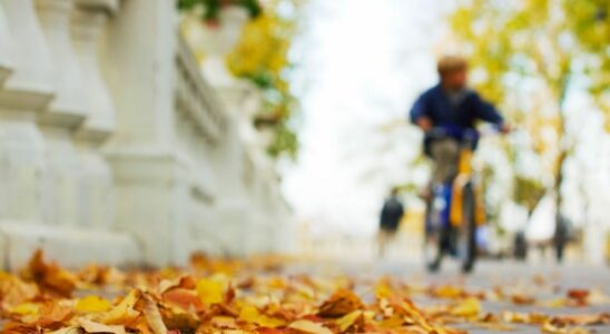 Increased risk of falls this fall precautions to take according