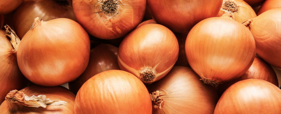 Indispensable in many traditional recipes onions have one big drawback